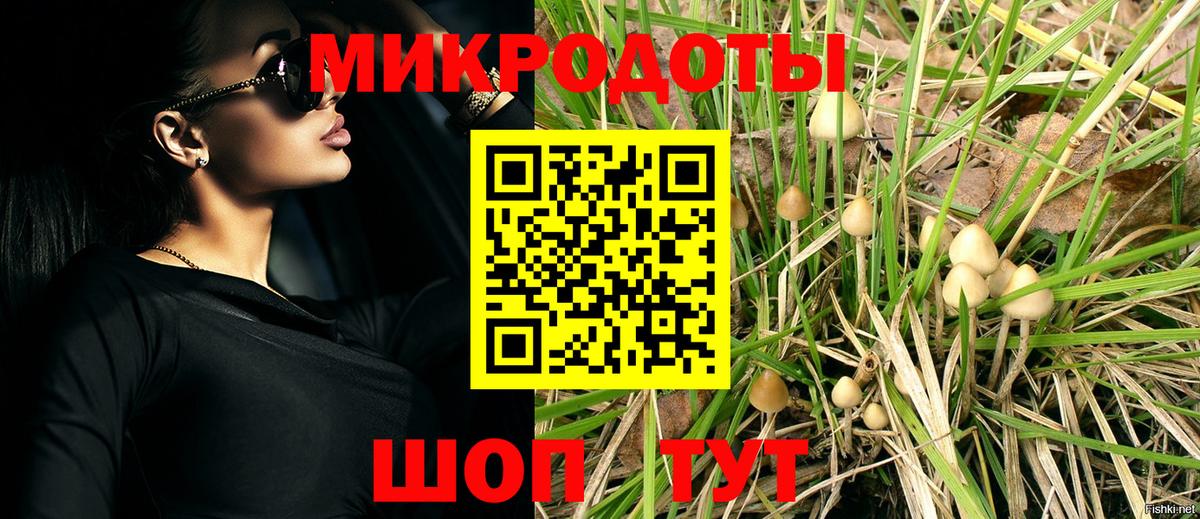 Псилоцибиновые грибы Cubensis  Вход с VPN  Электросталь 